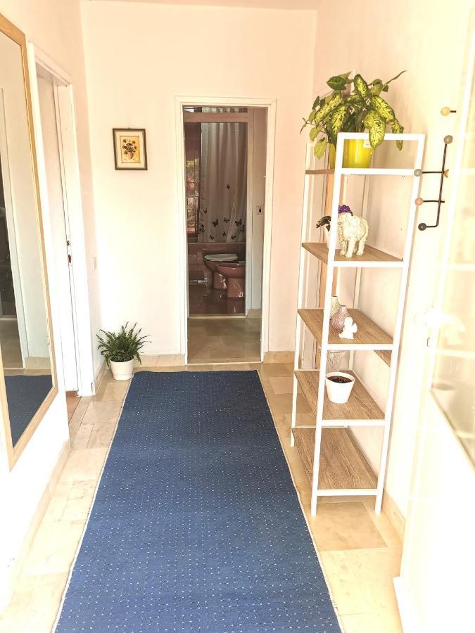 Apartments Biocic 科尔丘拉 外观 照片